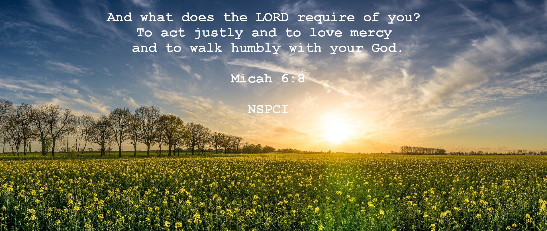 What does the Lord Require